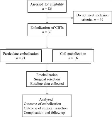 The Comparative Outcomes of Particulate Versus Coil Preoperative Embolization for Carotid Body Tumors